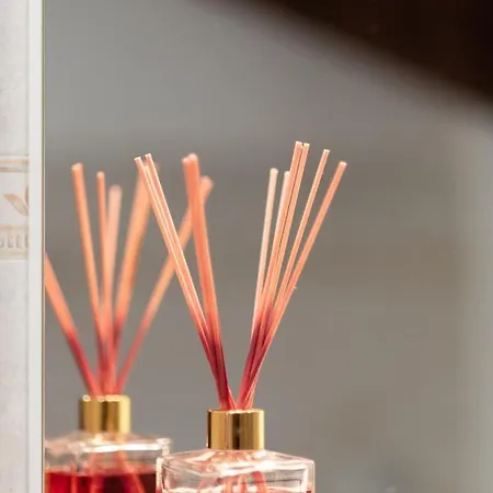 Maison Chateau - Vista Castello Di Pierre Saint-Pierre